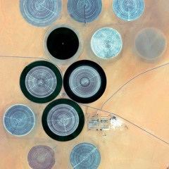 Deep Year - May 2019