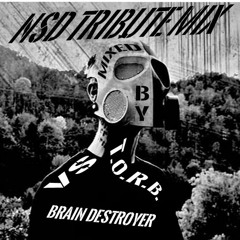 NSD Tribute Mix 2019 Mixed by DJ T.O.R.B. VS Brain Destroyer