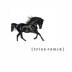 Old Town Road (trizz remix)