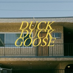 Duck Duck Goose