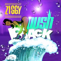 ZIGGY - PUSH BACK