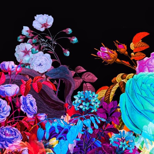 Trips ~w~ Solara: Vol. XII (Technosaic Edition)