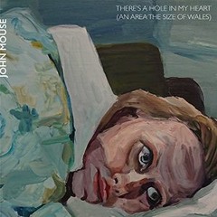 John Mouse - There's A Hole In My Heart (an Area The Size Of Wales)