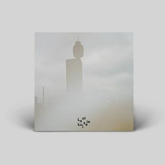 Dan Bay - Schwarzer Tee (LIL008)