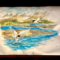 Kia Tūpato