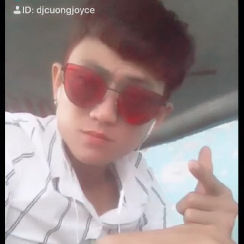 Từng Cho Nhau (remix) - Vũ Điệu Con Vịt  DJ Cường Joyce