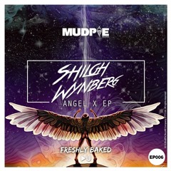 Shiloh Wynberg - Angel X (Original Mix)