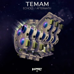 Temam - Aftermath