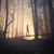 Artwork for Snowshoe Hiking on Packed Snow, Forest - Only in Lapland - Lapland Sound Collection