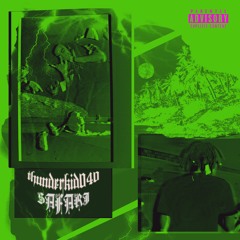 Safari (ig @thunderkid040)