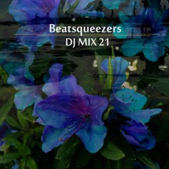 DJ MIX 21