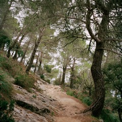 Elif Shafak / The Unknown Path