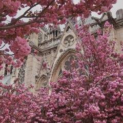 Escuche nuestro trabajo especial sobre Notre Dame