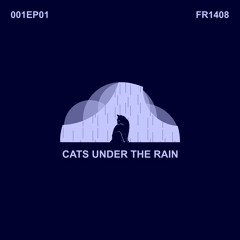 Cats Under The Rain