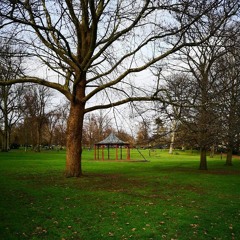 Cr00ked Paths