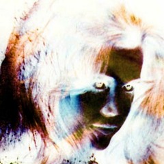 Save SC Weekly - Trip Ambiant