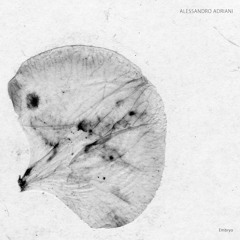 Alessandro Adriani - "Embryo" [SA035]
