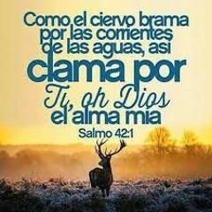 SALMO 42 - PORQUE TE ABATES