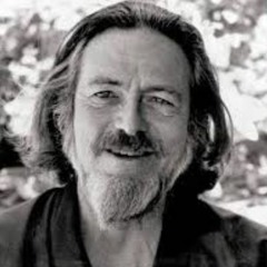Alan Watts - Everything Is Vibration