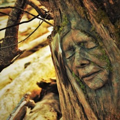 MOTHERS  by  Driftwood Holly
