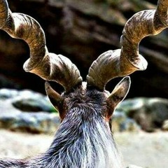 Bya_Ye_Stargi_Pa_Nasha_||_SHAH_FAROOQ.m4a