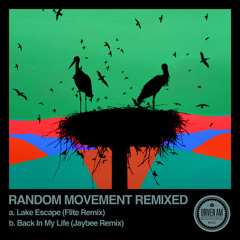 Random Movement - Lake Escape (Flite Remix)