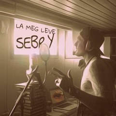 sebyviton