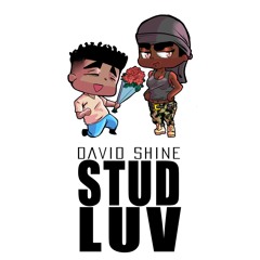 Stud Luv