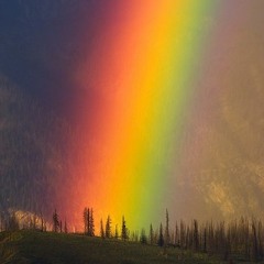 Spring into Magick - 2019