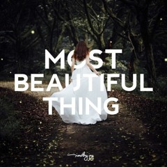 Most Beautiful Thing - Timothy Jay