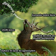 <3