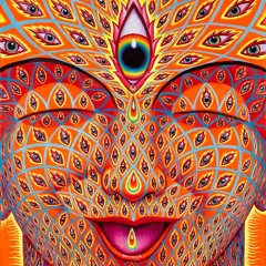 Hitech Galopp Set 162 - 196