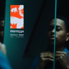 Wantigga - Motion Feat. On The Fence (Aliywiau. Remix)