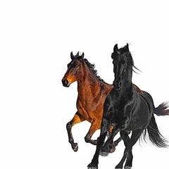 Old Town Road (I Got The Horses In The Back) REMIX