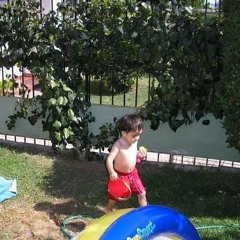 MiEnTo- 3molly