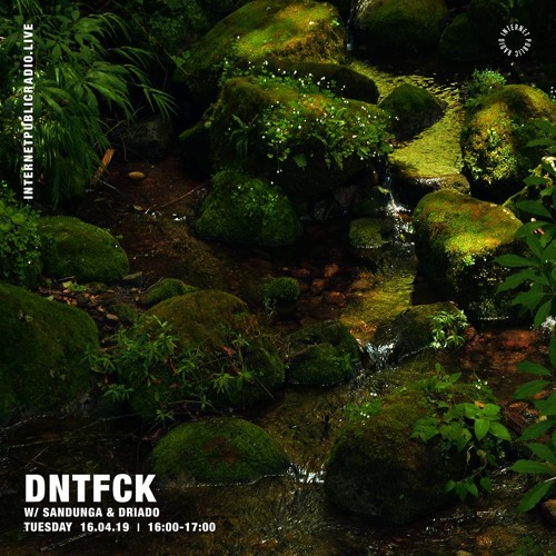 DNTFCK on Internet Public Radio - Sandunga & Driado