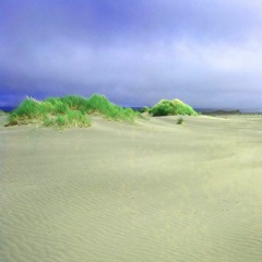 Lotus Through Unknown Waters