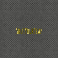 ShutYourTrap - Butterflies and Bees (Lofi Remix)