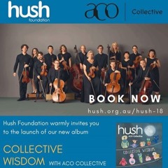 We Won't Let You Down- performed by the Australian Chamber Orchestra Collective