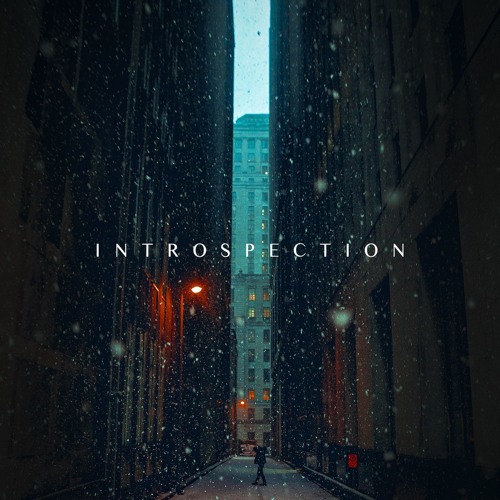 INTROSPECTION