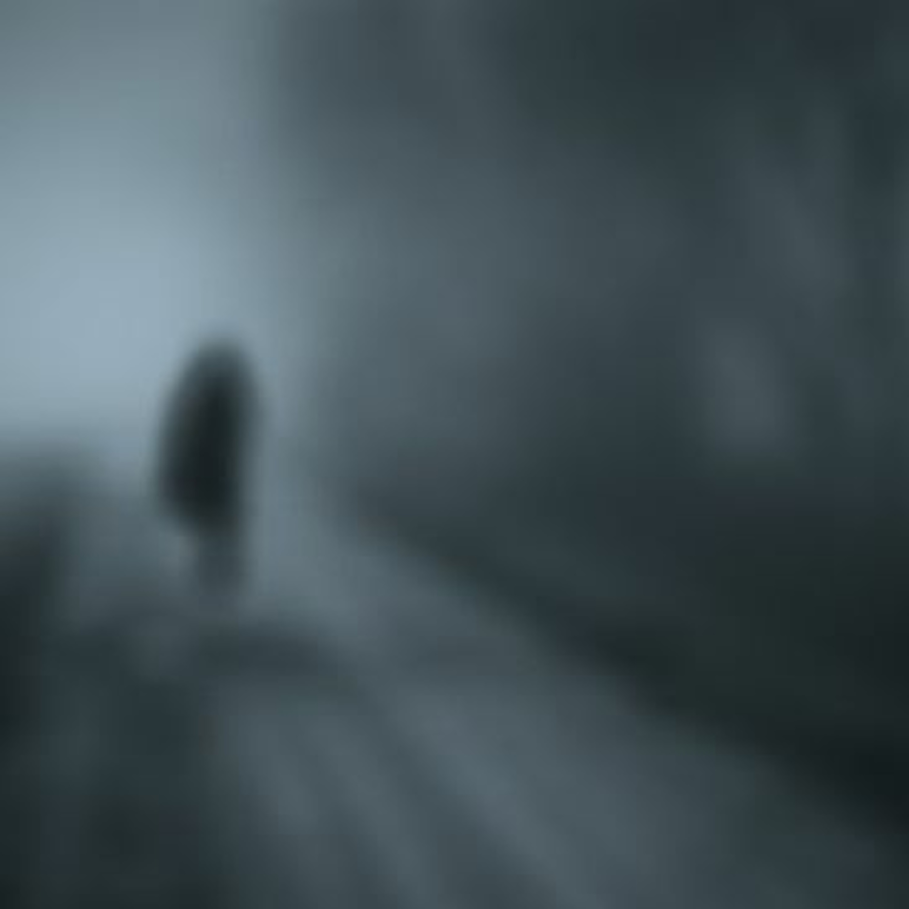 The Ghost Of Me (The walk around mix) episode artwork