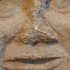 Not normal anymore !