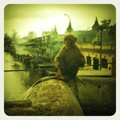 Dj_Fedywandong & Zenaj - Progout