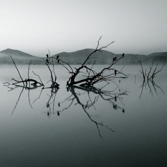 still waters
