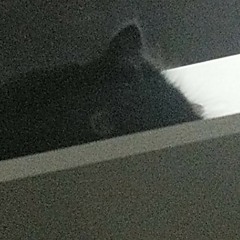 Unang Sayaw (Snippet)