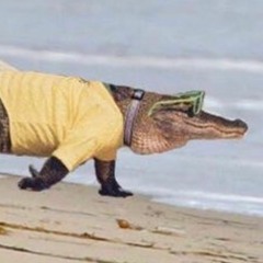 kanyes alligator freestyle (prod. gruca)