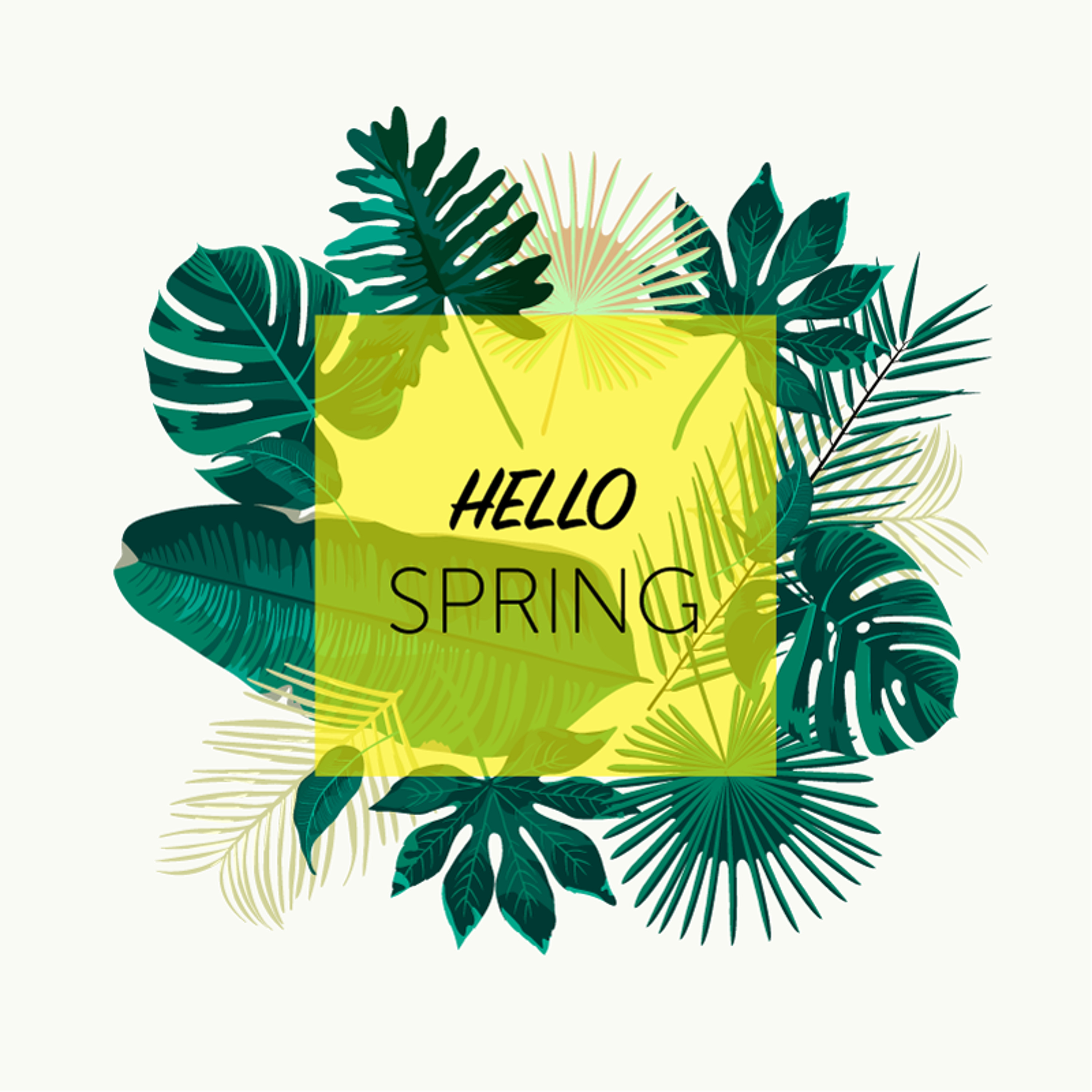 Numbred (Organic House, Melodic House)