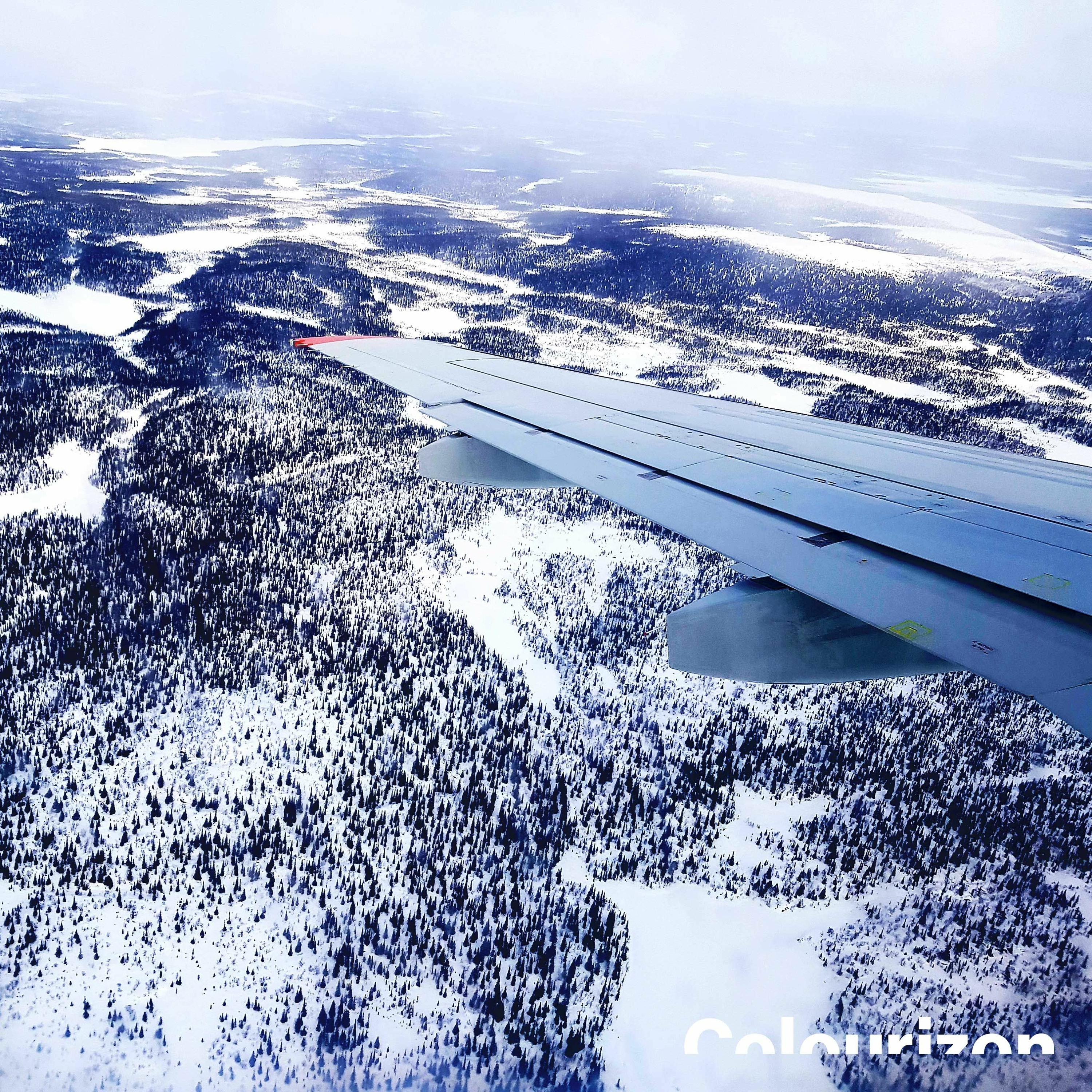 COLOURIZON