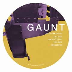 Gaunt - Spacebirds [NSM007]