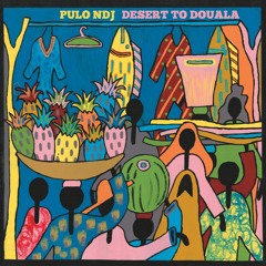 Pulo NDJ "Desert To Douala" 28 Min Album Mix By Nickodemus